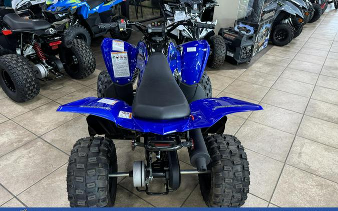 2026 Yamaha Raptor 110