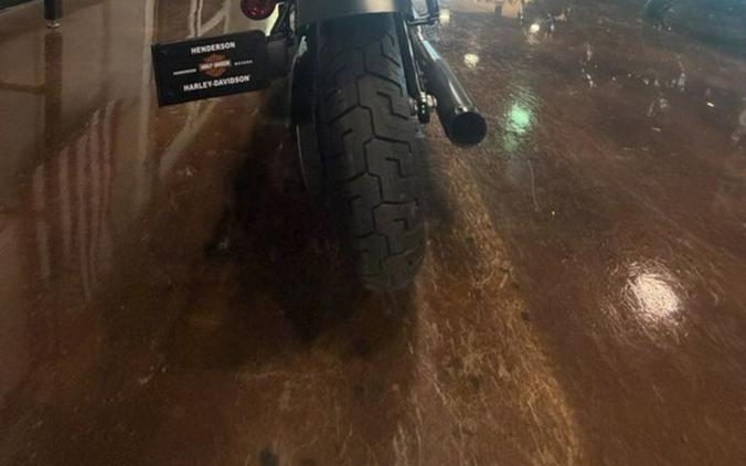 2019 Harley-Davidson Softail® Slim®