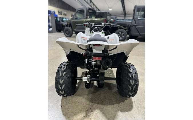 2026 Kawasaki KFX 50