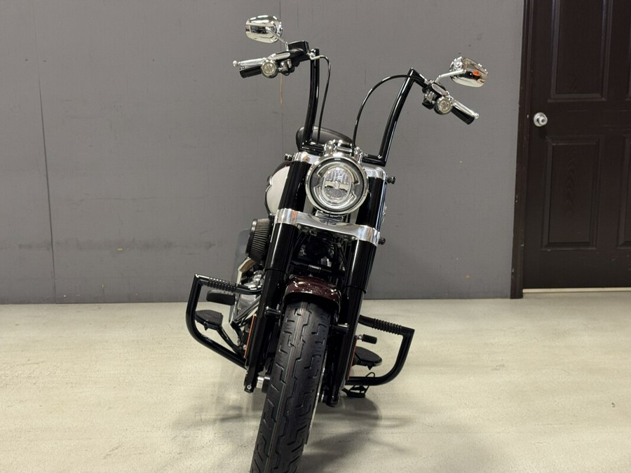 FLSL 2021 Softail Slim®