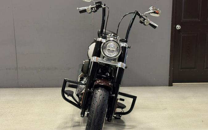 FLSL 2021 Softail Slim®