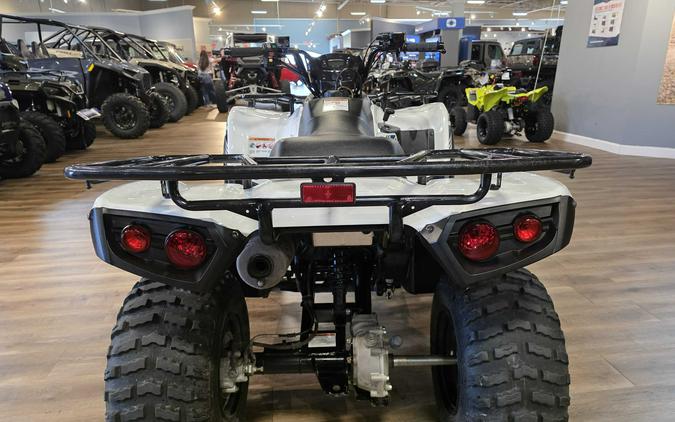 2022 Kawasaki Brute Force 300 Bright White - 111583
