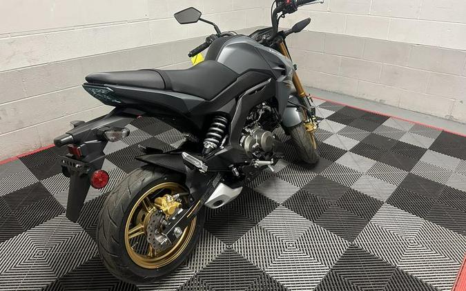 2024 Kawasaki Z125 PRO