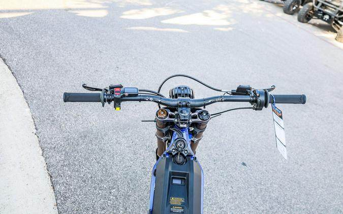 2025 SURRON LIGHT BEE X