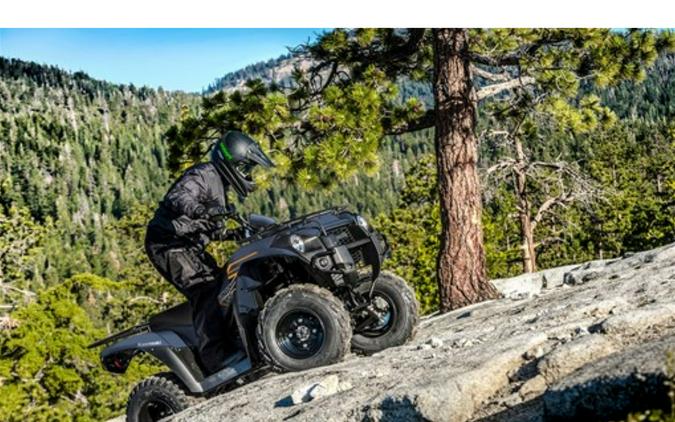 2024 Kawasaki Brute Force 300 Grayish Blue - 111582