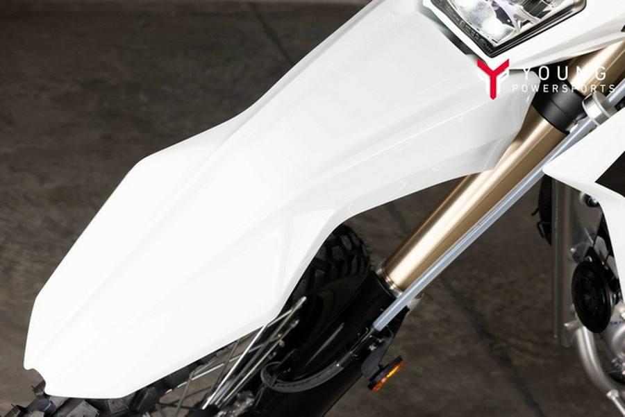 2026 Kawasaki KLX300