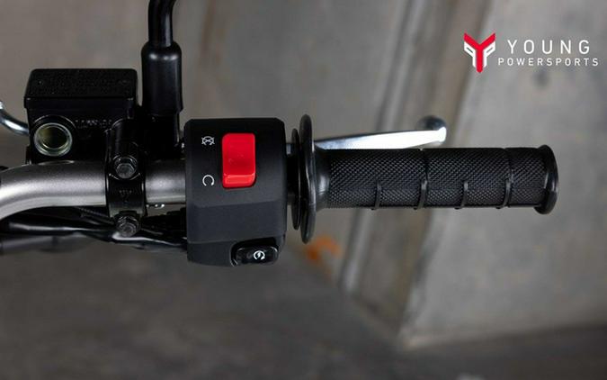 2026 Kawasaki KLX300