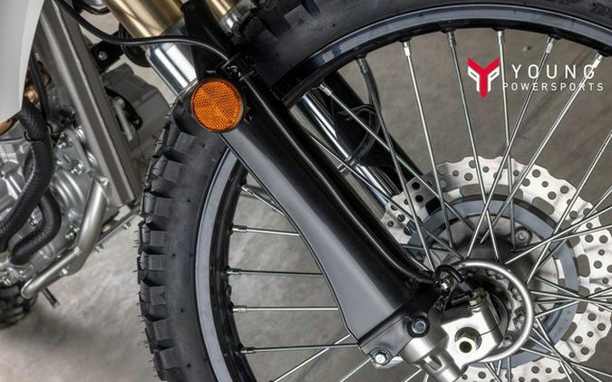 2026 Kawasaki KLX300