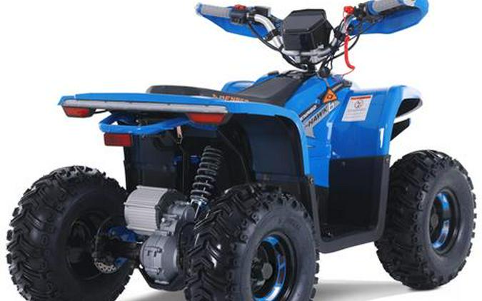 2026 Denago Powersports E-Hawk 6