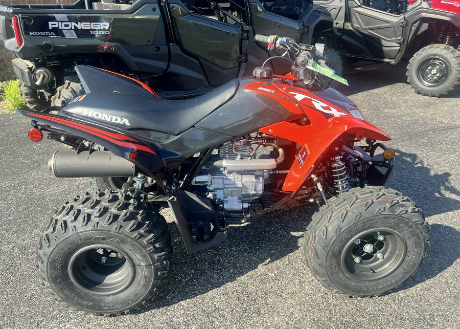 2024 Honda TRX250X