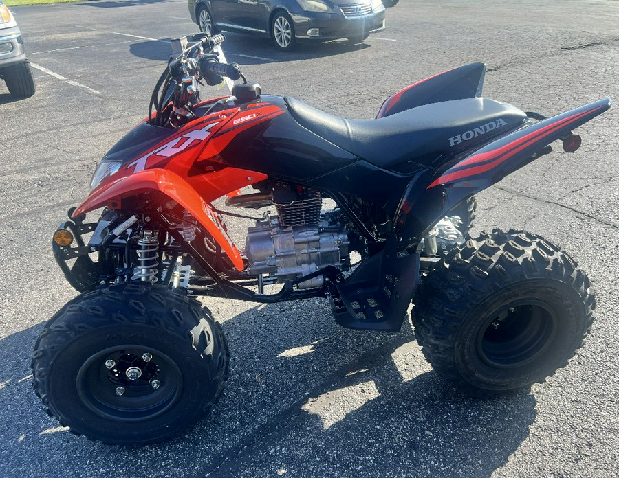 2024 Honda TRX250X