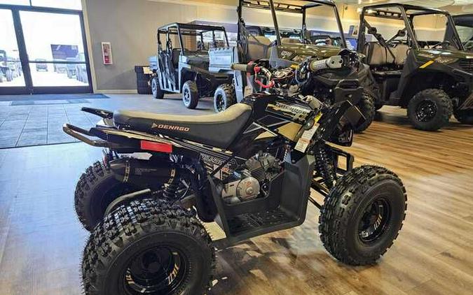 2026 Denago Powersports TRAILHAWK 10FI