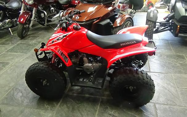 2026 Honda TRX90X