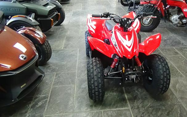 2026 Honda TRX90X