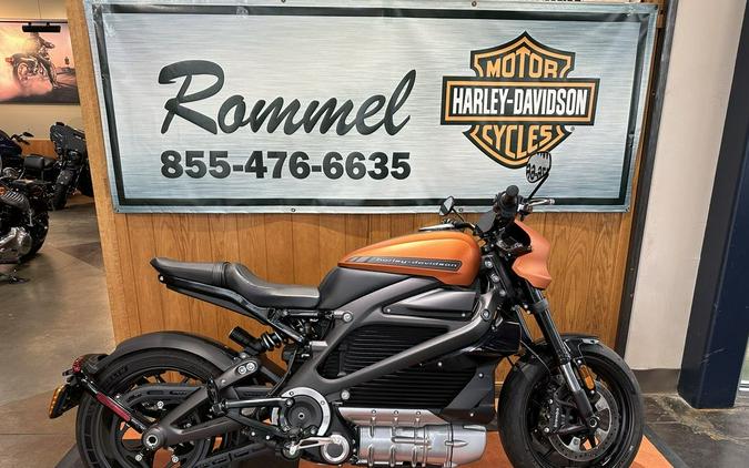 2020 Harley-Davidson LiveWire First Ride