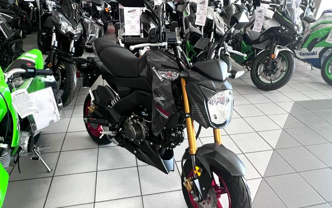 2024 Kawasaki Z125 Pro