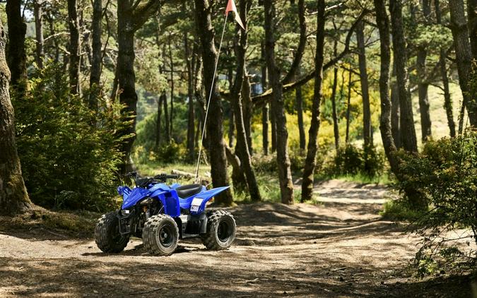 2027 Yamaha Motor Corp., USA YFZ50