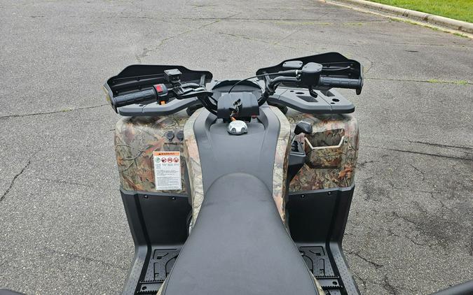 2026 Denago Powersports Freelander 300FI