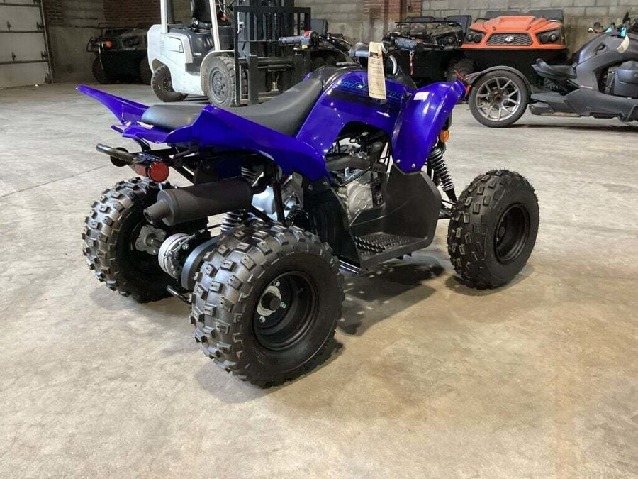 2024 Yamaha Raptor 110