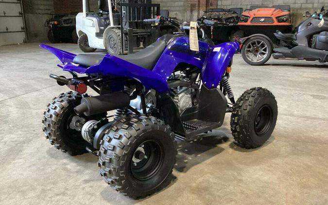 2024 Yamaha Raptor 110