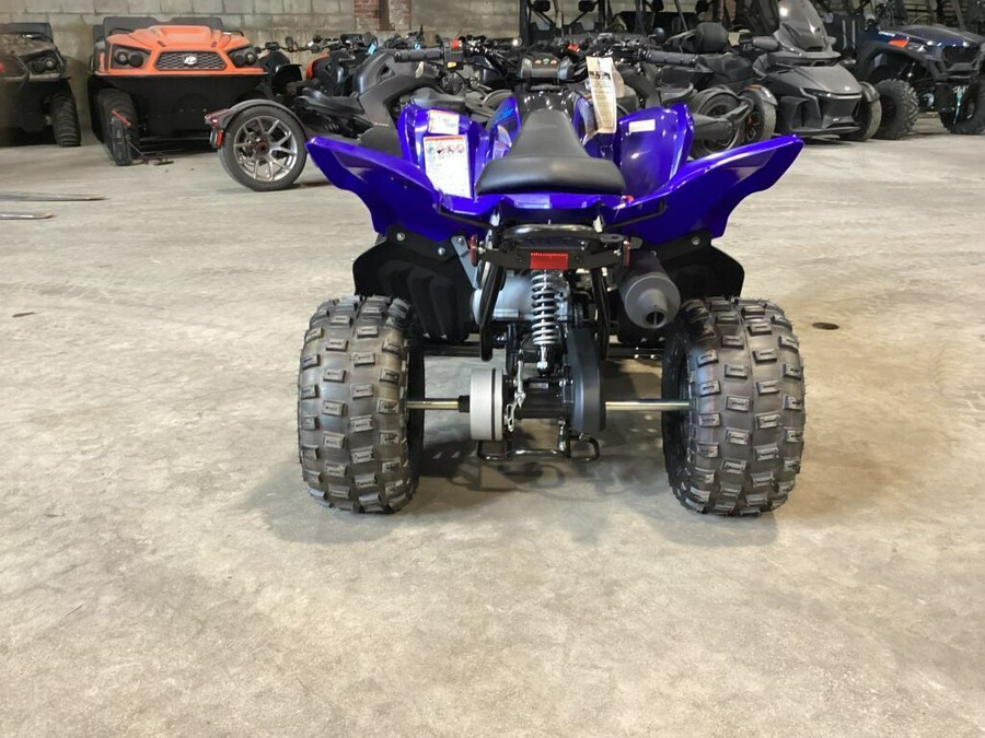 2024 Yamaha Raptor 110