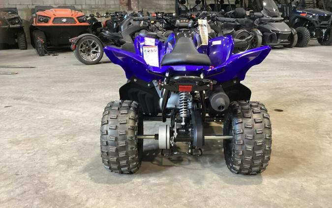 2024 Yamaha Raptor 110