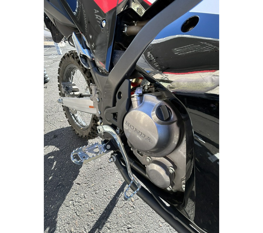 2024 Honda CRF300L Rally