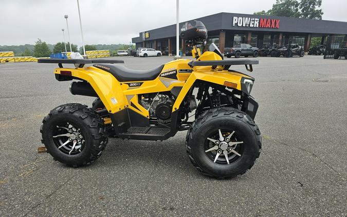 2026 Denago Powersports Mudhawk 200FI