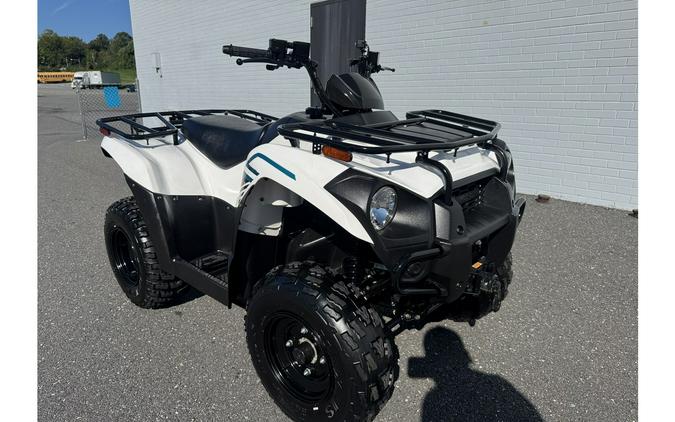 2023 BRUTE FORCE 300 - Kawasaki