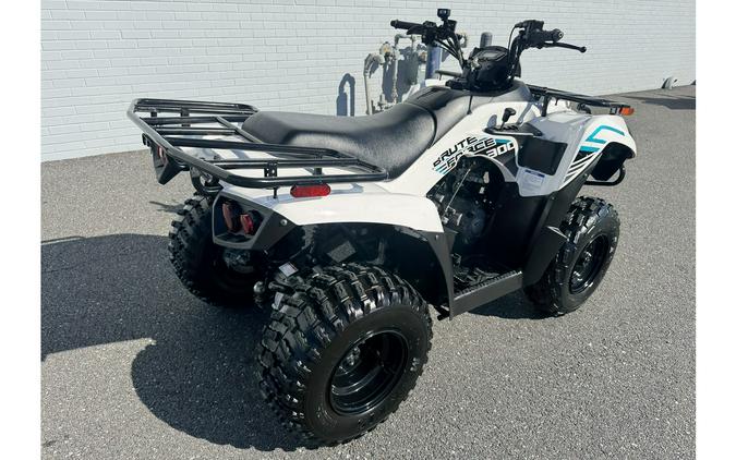 2023 BRUTE FORCE 300 - Kawasaki