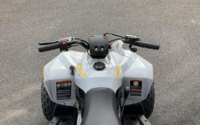 2024 Can-Am® Renegade 70 EFI