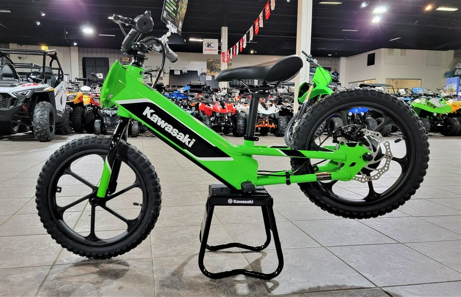 2023 Kawasaki Elektrode