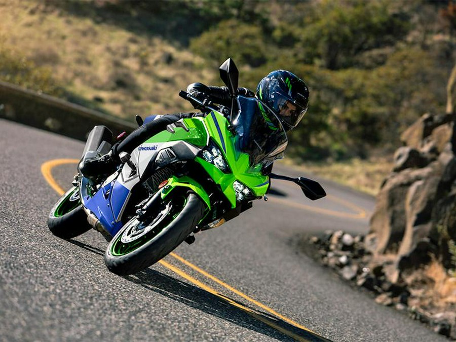 2024 Kawasaki Ninja® 500 SE 40th Anniversary Edition ABS