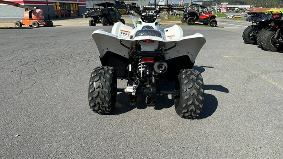 2027 Kawasaki KFX 50