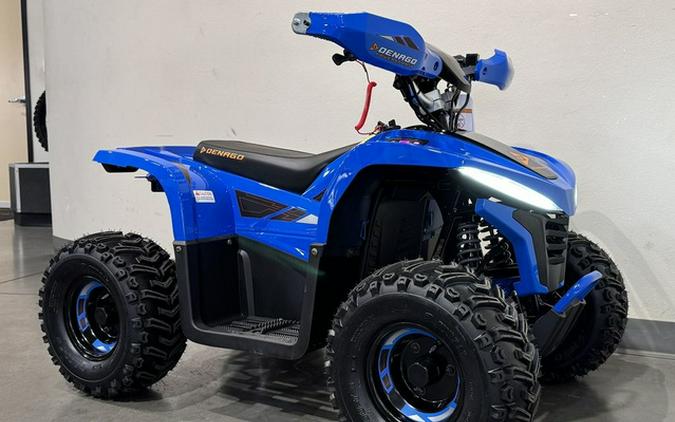 2026 Denago Powersports E-Hawk 6