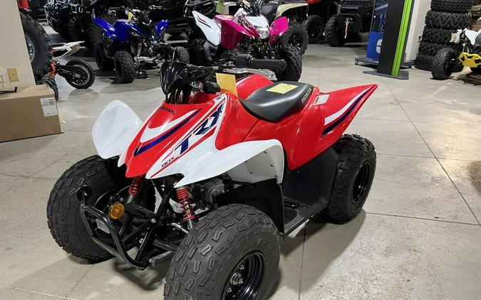 2023 Honda® TRX90X