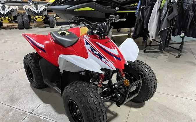 2023 Honda® TRX90X