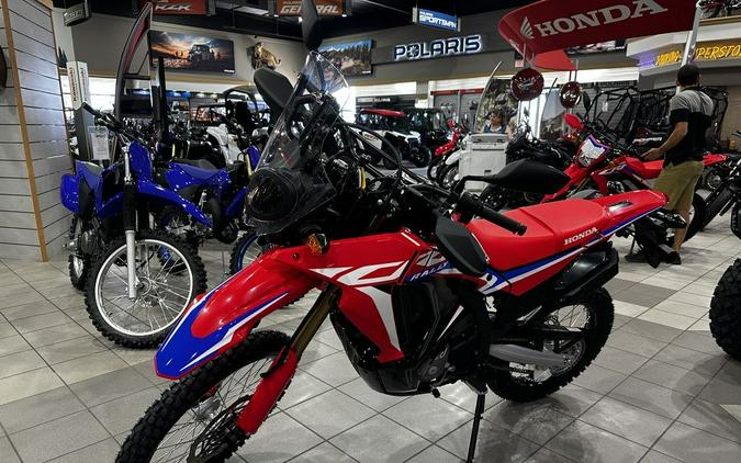 2024 Honda® CRF300L Rally