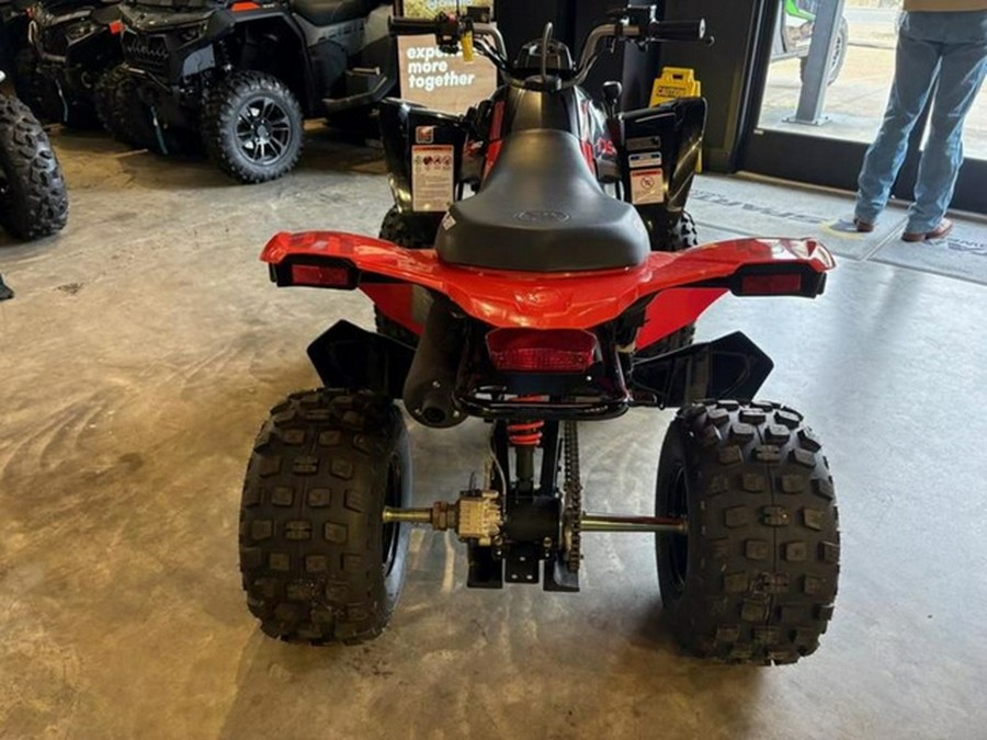 2025 Can-Am DS 250