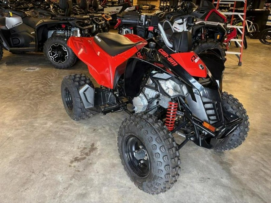 2025 Can-Am DS 250