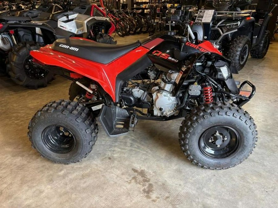 2025 Can-Am DS 250