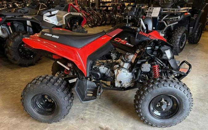 2025 Can-Am DS 250