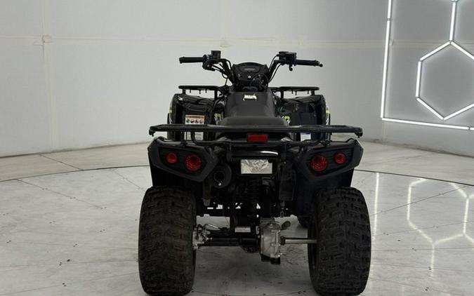 2022 Kawasaki Brute Force 300