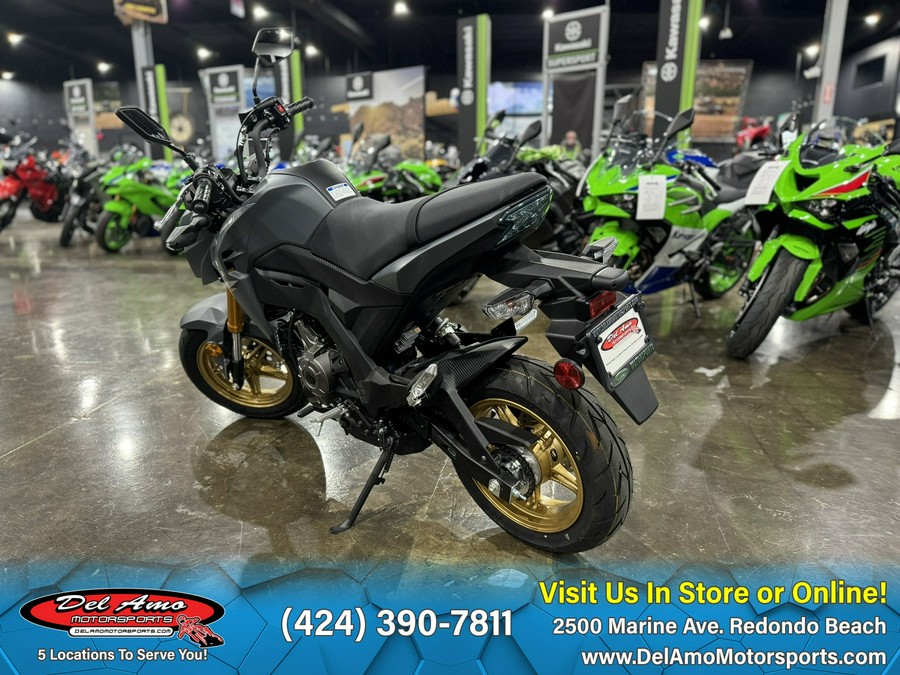 2024 Kawasaki Z125 PRO