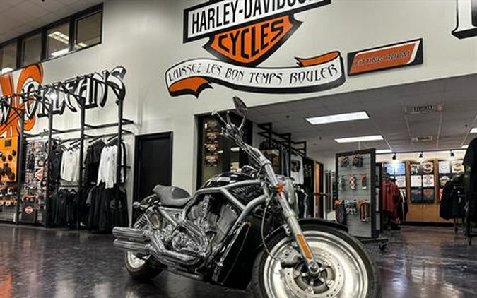 2004 Harley-Davidson VRSCA V-Rod®