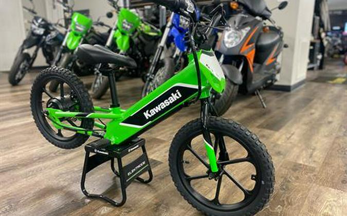 2023 Kawasaki Elektrode