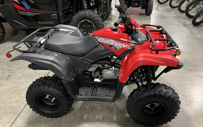 2025 Yamaha Grizzly 110 (YFM01GYXSD)