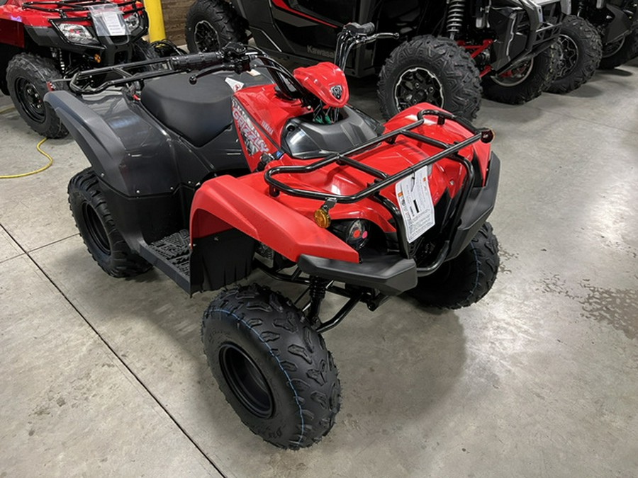 2025 Yamaha Grizzly 110 (YFM01GYXSD)