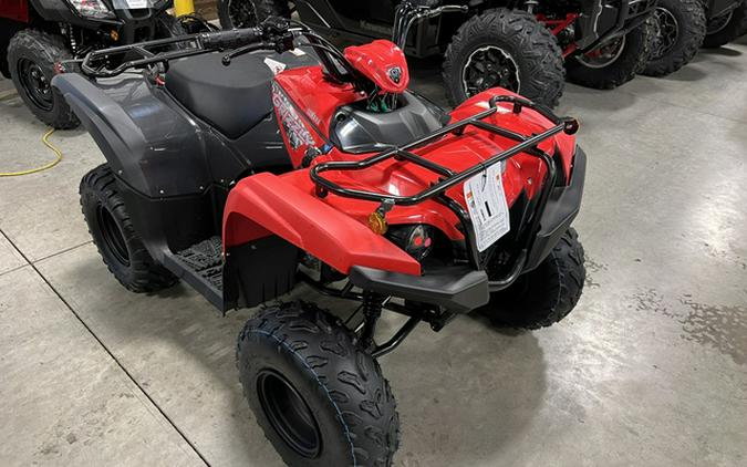 2025 Yamaha Grizzly 110 (YFM01GYXSD)