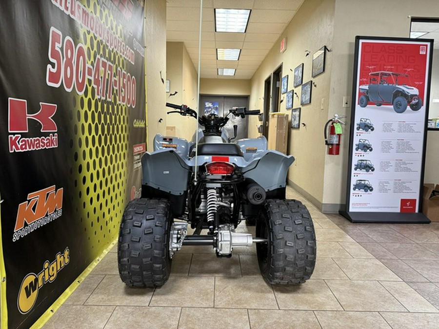 2025 Polaris Phoenix 200